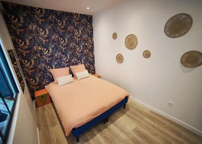 Patione Dans Centre De * Дижон